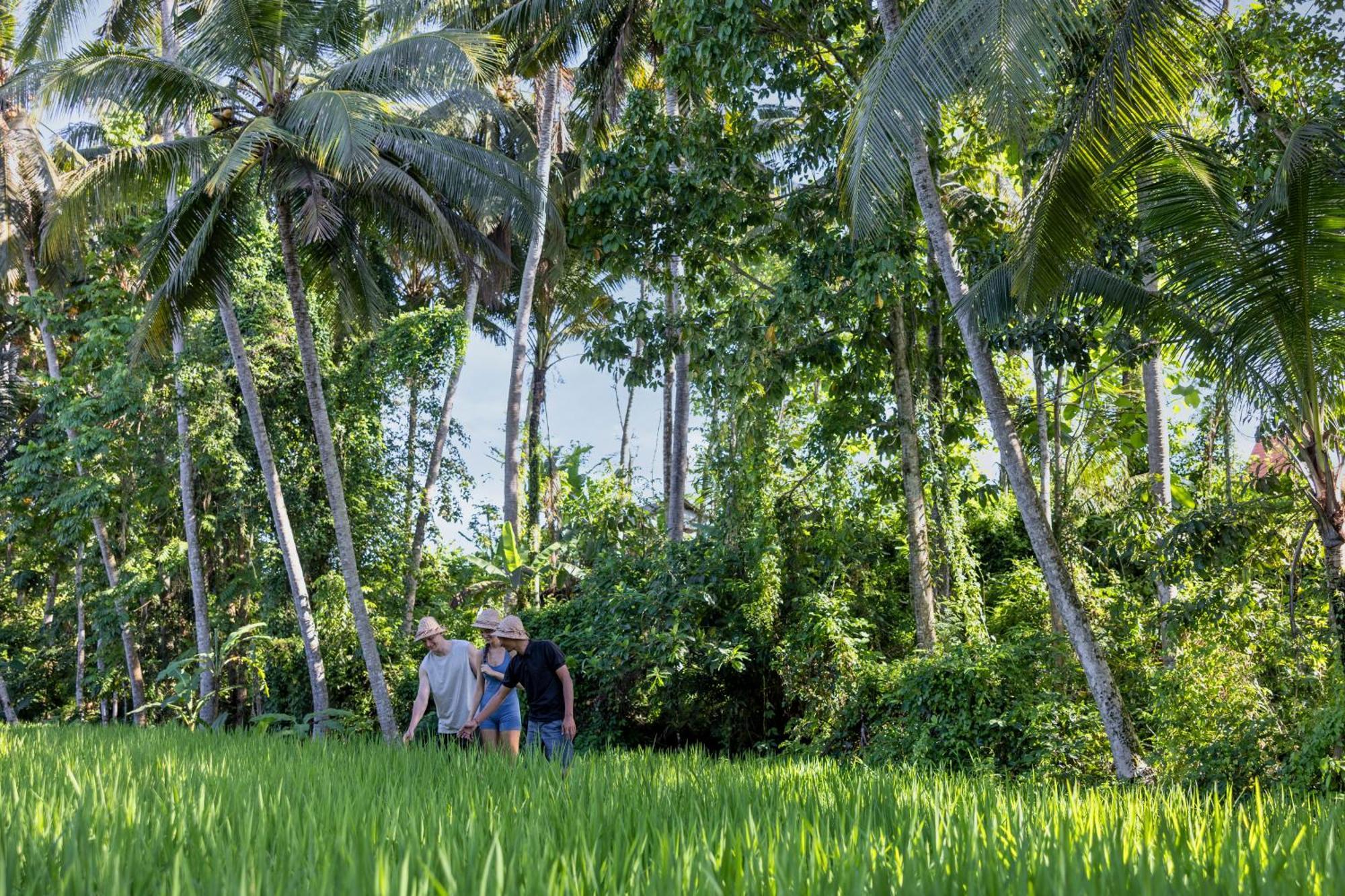 Kanhara Villas Ubud By Pramana Villas المظهر الخارجي الصورة